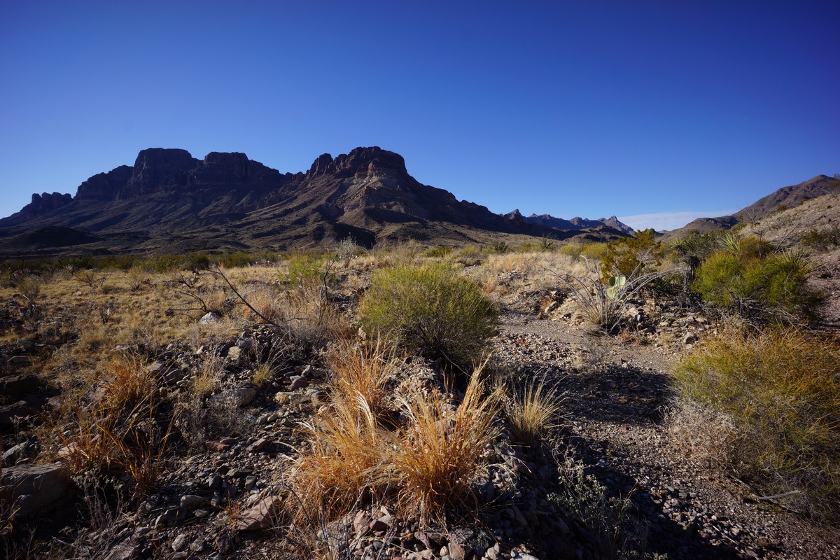 big bend national park view along the dominguez spring trail
