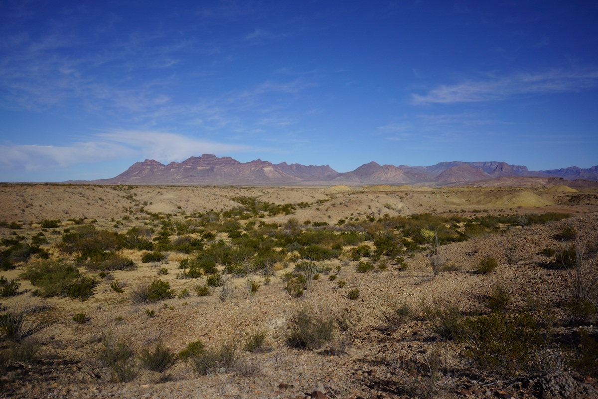y spring in big bend national aprk