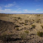 Big Bend Desert