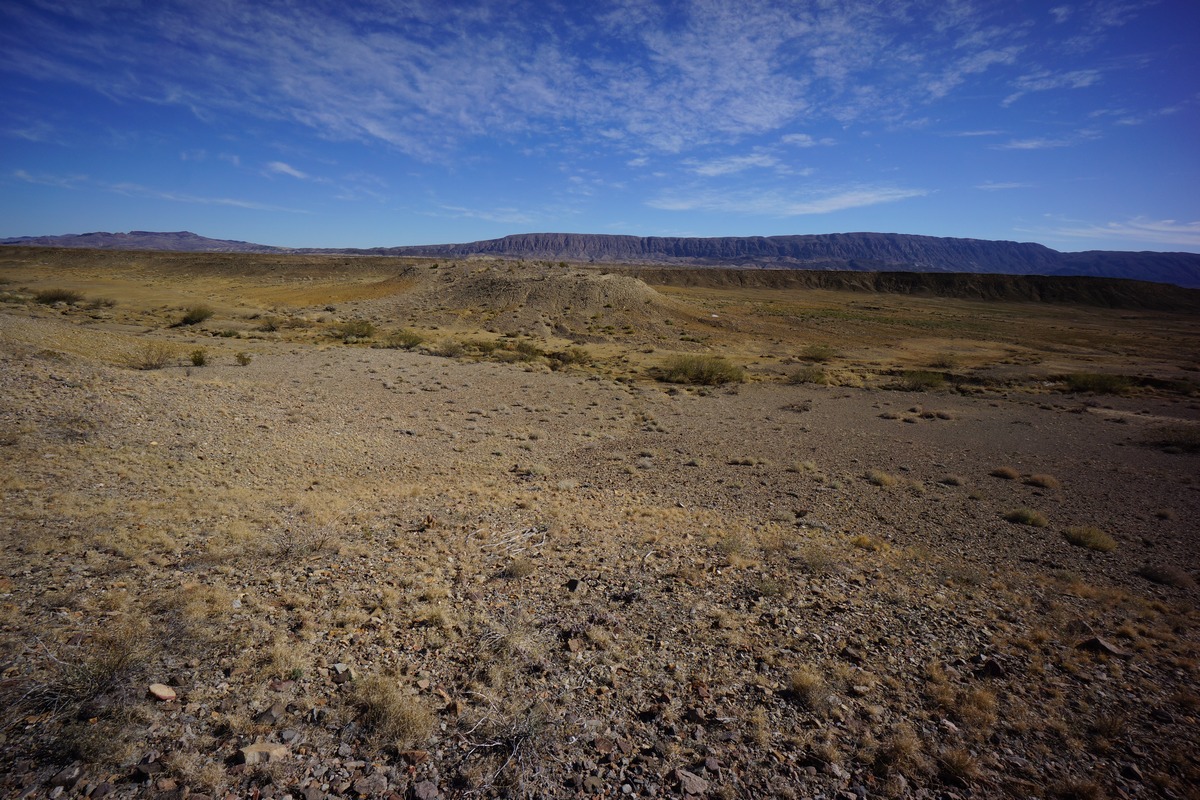 i saw a coyote in this wash