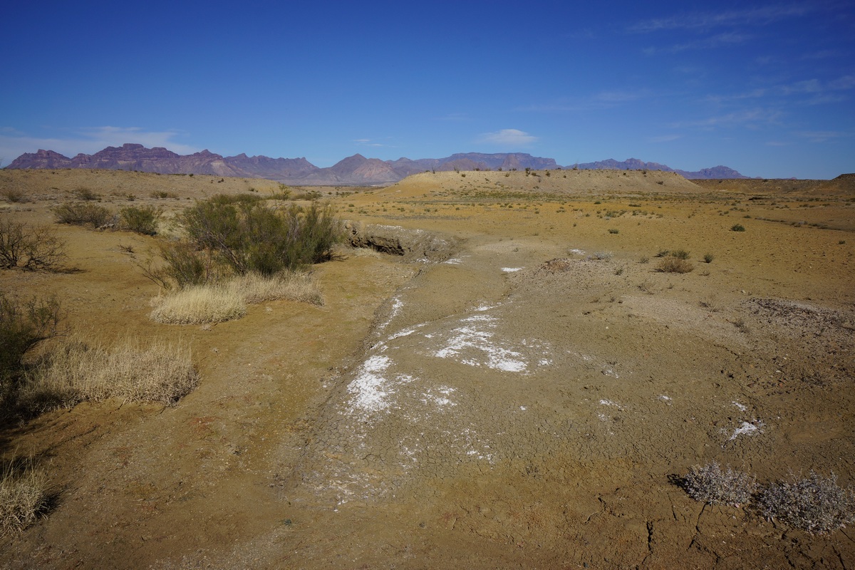 big bend chihuahuan desertview