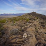 Mariscal Ridgeline