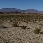 Big Bend Desert Panaorma