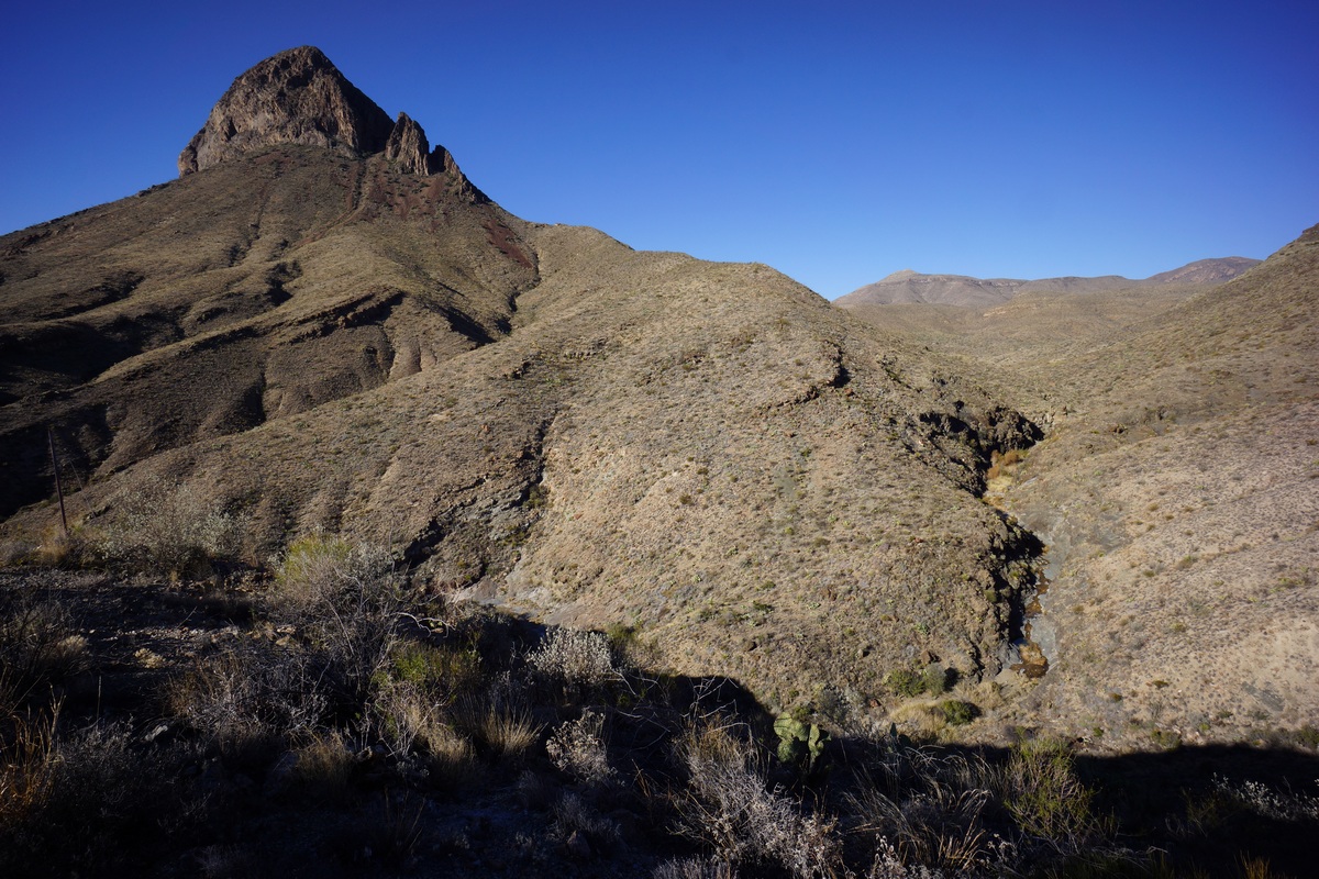 view of elephant tusk spring from trail above