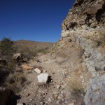 Hiking Along Elephant Tusk Trail