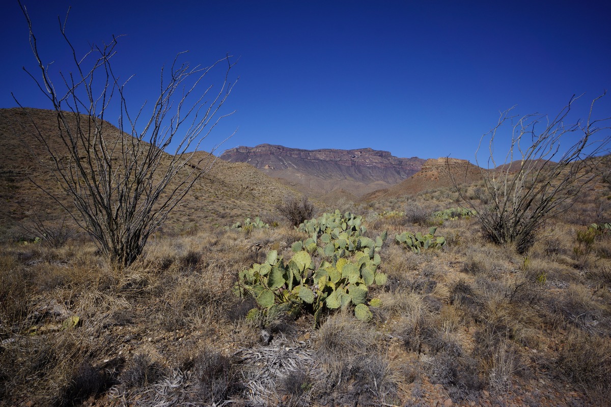 view of south rim in big bend nation park from the elephant tusk trail