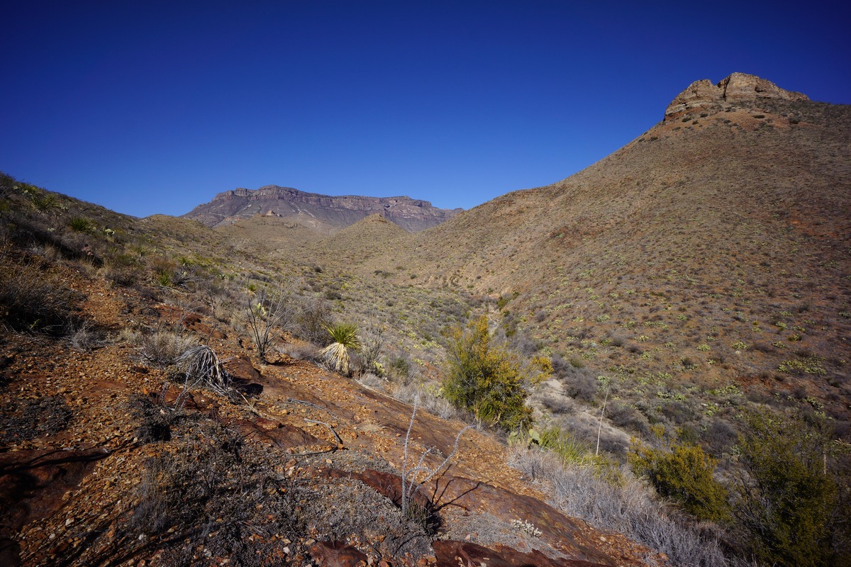On the way to adler spring in big bend national park