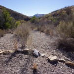 Dodson Adler Junction