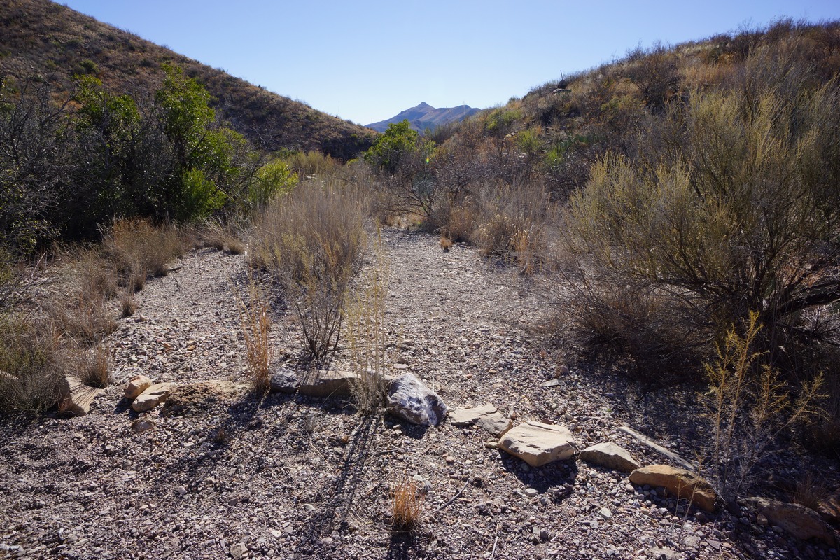 a view of the junction of the dodson trail and adler spring trail in big bend national park