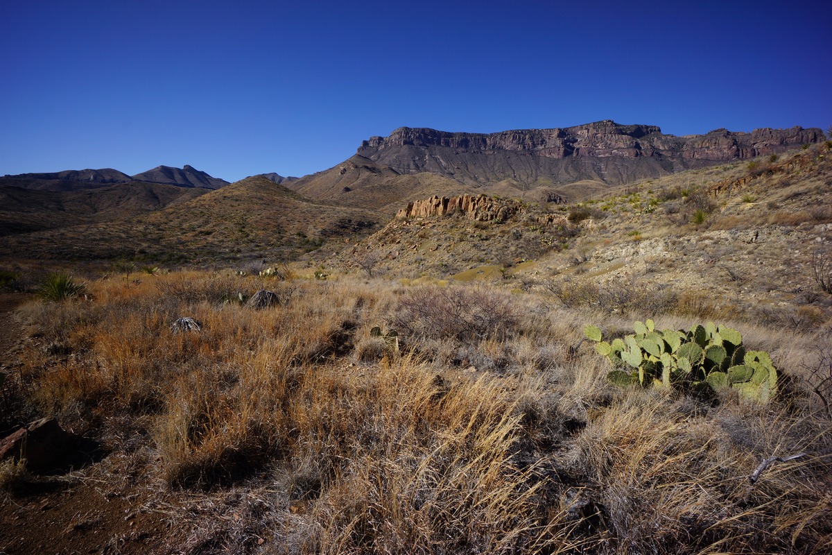 dodson view of the south rim big bend