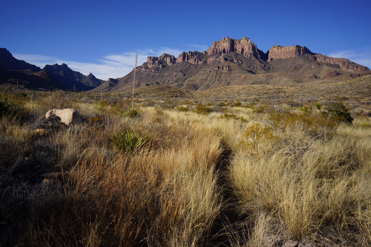 hiking the juniper canyon trail towards crown mountain in big bend national park, tx