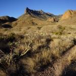 View of the Juniper Canyon Trail