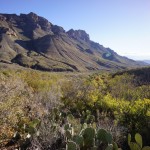 Juniper Canyon From Juniper Canyon Trail