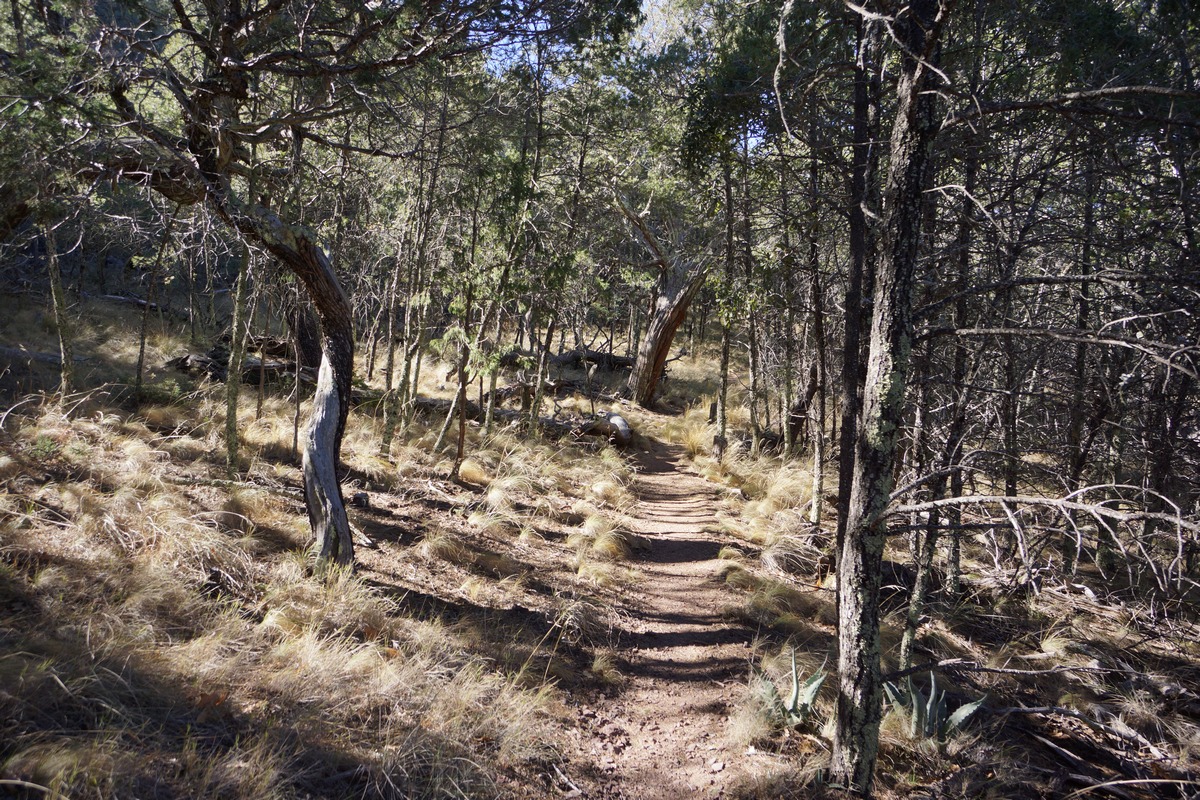 trail in boot canyon in big bend national park