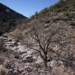 Pools Of Water In Boot Canyon