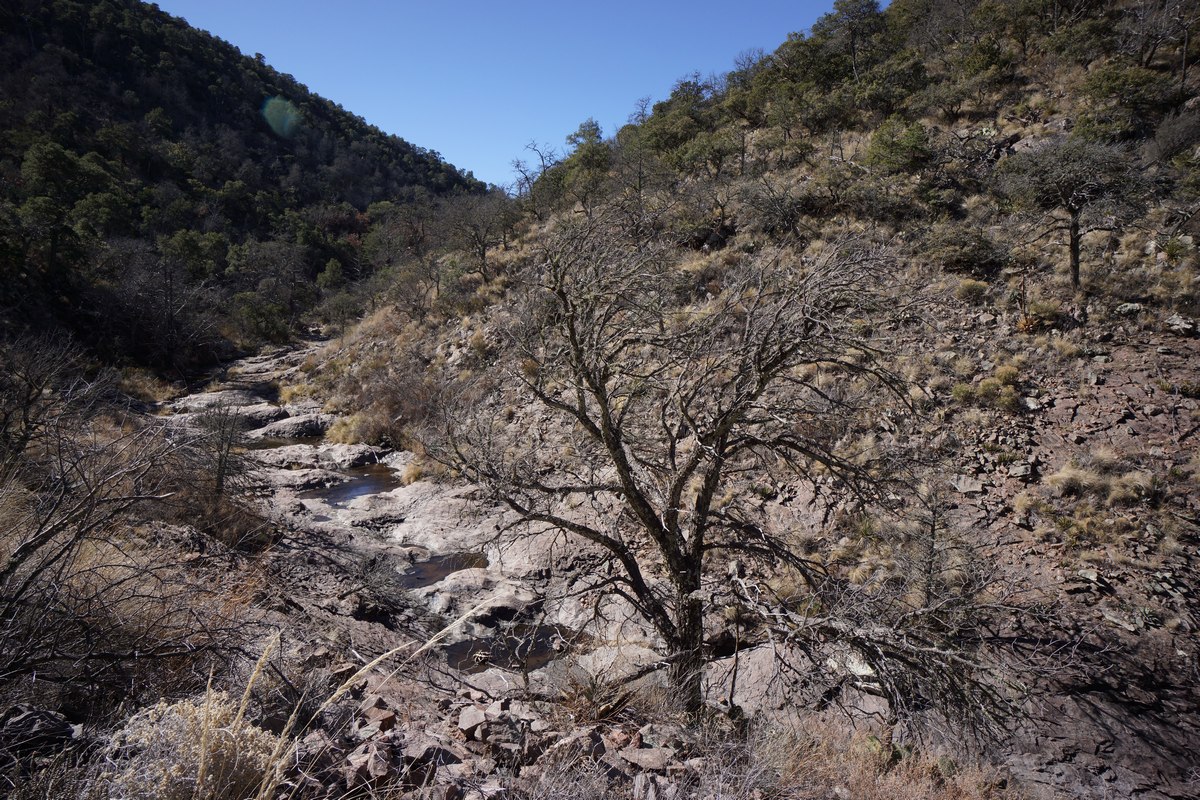 several pools of water in boot canyon, many are frozen