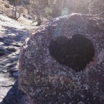 Heart Shaped Moss On Rock