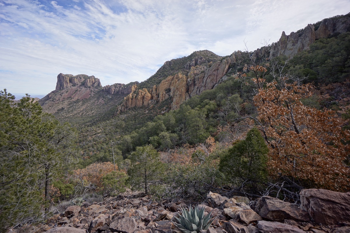 view along the pinnacles trail in big bend