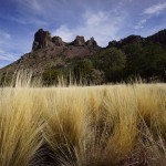 Case Grande Behind Golden Grass