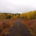 Fall Colors In The Bob