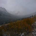 east glacier to canada 011