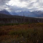 east glacier to canada 017