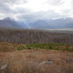 east glacier to canada 018