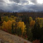 east glacier to canada 028