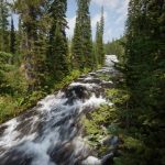 flagg ranch to old faithful 024