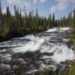 flagg ranch to old faithful 025