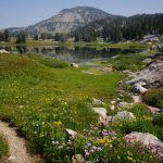 jackson to flagg ranch 199