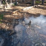 leadore to darby 027