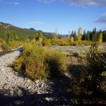 lincoln to east glacier 074