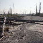 old faithful to macks inn 025