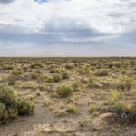 Basin and Range Trail Section 4 Toiyabe Crest Trail hike0007