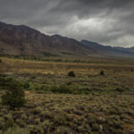 Toiyabe Range from South Twin River Trailhead