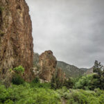 Basin and Range Trail Section 4 Toiyabe Crest Trail hike0039