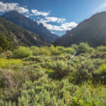 Basin and Range Trail Section 4 Toiyabe Crest Trail hike0078