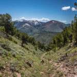 Basin and Range Trail Section 4 Toiyabe Crest Trail hike0087