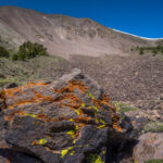 hiking near Arc Dome in the toiyabe range nevada