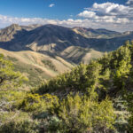Basin and Range Trail Section 4 Toiyabe Crest Trail hike0168