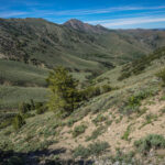 Basin and Range Trail Section 4 Toiyabe Crest Trail hike0262