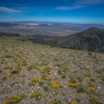 Basin and Range Trail Section 4 Toiyabe Crest Trail hike0270