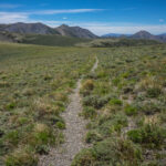 Basin and Range Trail Section 4 Toiyabe Crest Trail hike0272