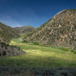 Basin and Range Trail Section 4 Toiyabe Crest Trail hike0286