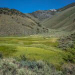 Basin and Range Trail Section 4 Toiyabe Crest Trail hike0290