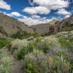 Veatch Canyon Hike, Toiyabe Range Nevada