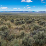 Reese River Valley Panorama