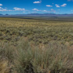 Basin and Range Trail Thru Hike – Reese River Valley