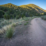 Wallace Canyon, Monitor Range, Nevada